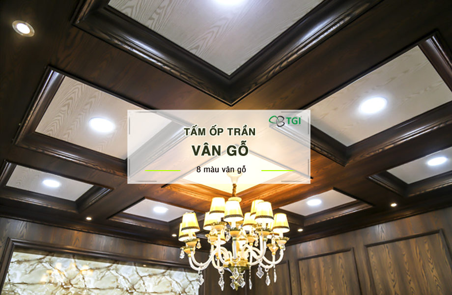 Trần nhựa giả gỗ cao cấp, công nghệ mới cho những ngôi nhà thời đại mới Trần nhựa giả gỗ cao cấp, công nghệ mới cho những ngôi nhà thời đại mới