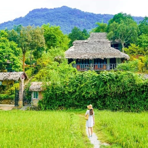 Du Lịch Mai Châu