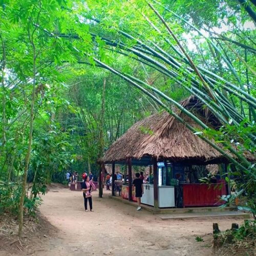 Du Lịch địa đạo Củ Chi