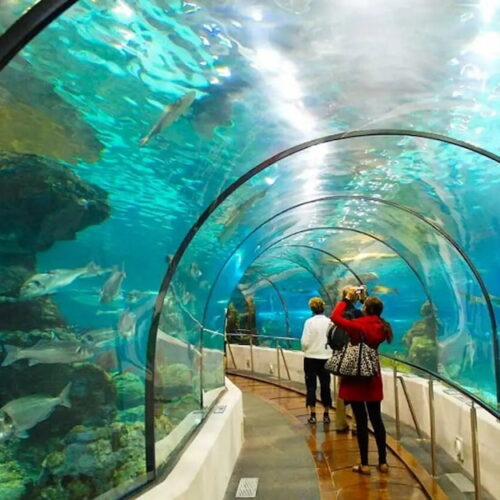 Kdl Suối Tiên